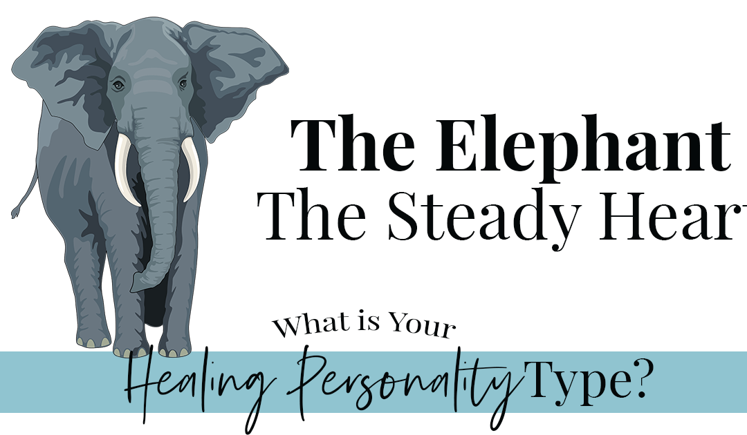 The Elephant – Loving Your Steady Heart